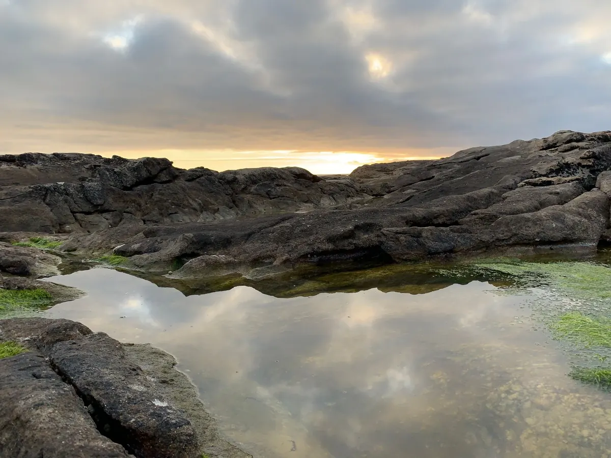 Rock Pooling in Cornwall: A Family Checklist for Summer
